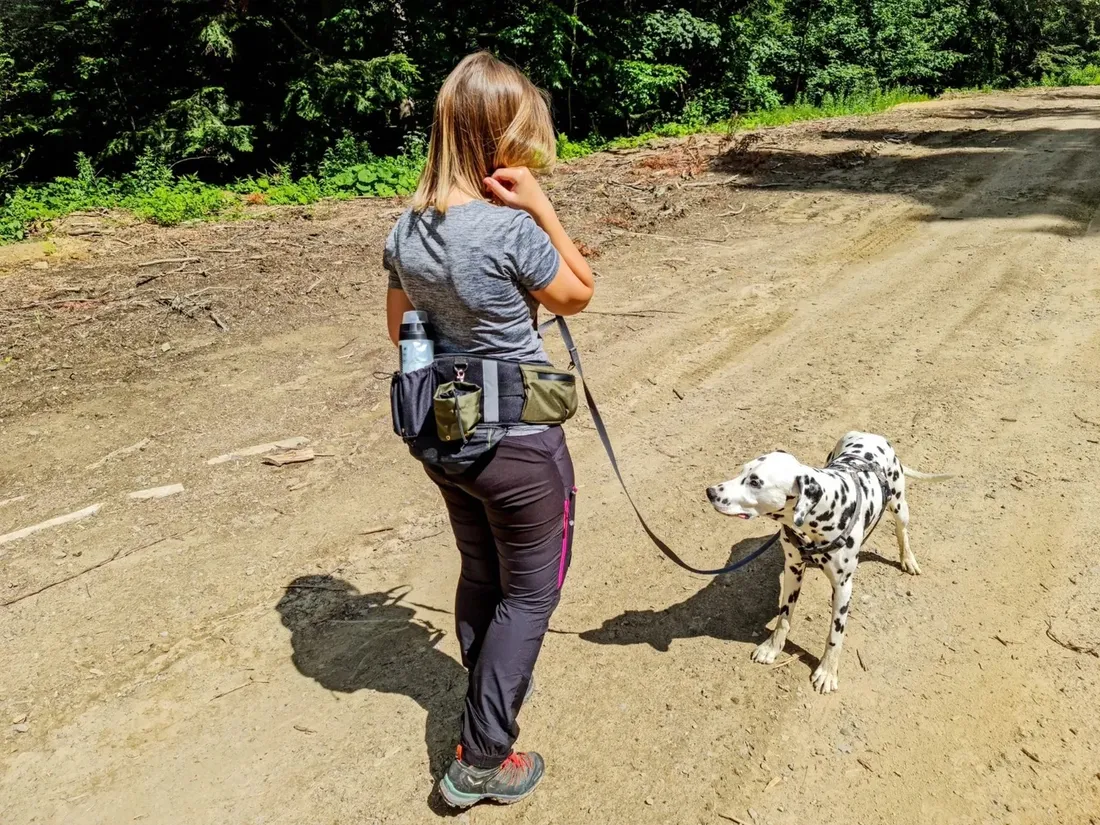 pas-trekkingowy-2trees-niebieski