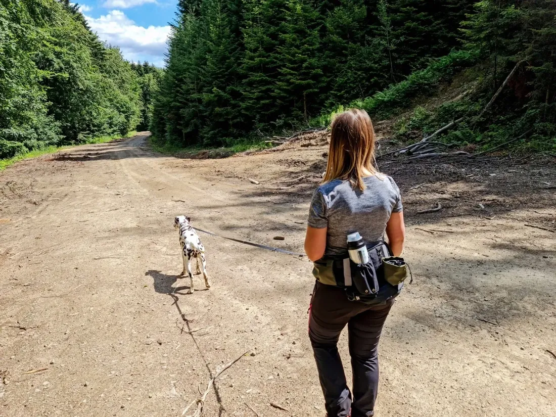 pas-trekkingowy-2trees-niebieski-stan-nowy