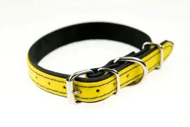 obroza-forest-4wild-s-28-38cm-zolta