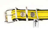 obroza-forest-4wild-s-28-38cm-zolta-stan-nowy
