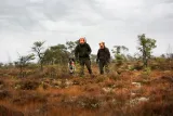 spodnie-pinewood-retriever-active-5771-c52-rozmiar-52