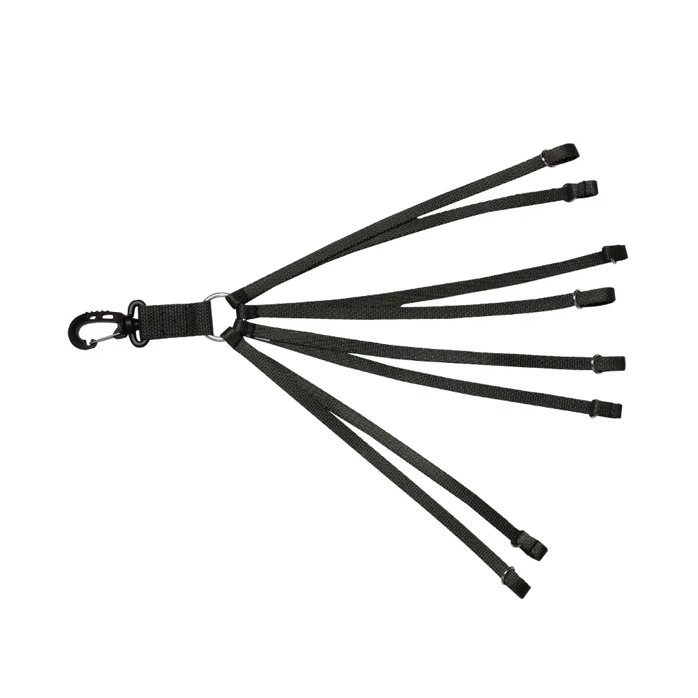 troki-forest-2wolfs-stan-nowy