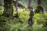 damskie-spodnie-deerhunter-3292-fallen-leaf-38-rozmiar-38