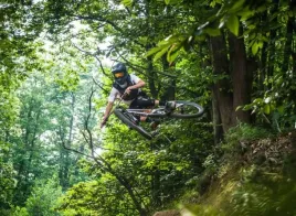 wyprzedaz-ariete-uszczelniacze-przedniego-zawieszenia-rowerowe-mtb-pasuja-d