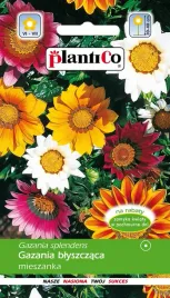 gazania-blyszczaca-mieszanka-nasiona-kwiatow-03g-plantico