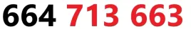 zloty-numer-664-713-663-na-karte-sim-t-mobile
