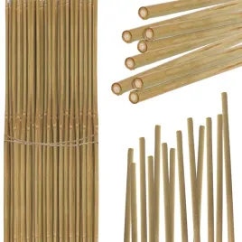 tyczka-bambusowa-60-cm-zestaw-100-sztuk-6-8mm-podpora-palik-do-roslin