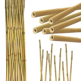 tyczka-bambusowa-150-cm-zestaw-25-sztuk-10-12mm-podpora-palik-do-roslin