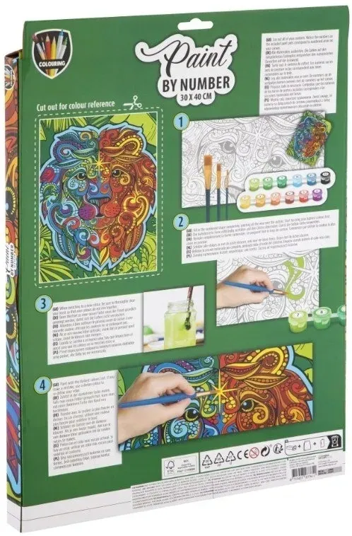 malowanie-po-numerach-lew-150056-grafix