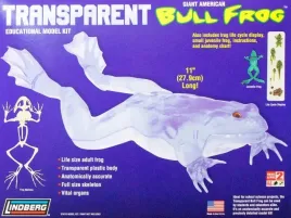 model-plastikowy-lindberg-transparent-bull-frog-przezroczysta-zaba-rycza