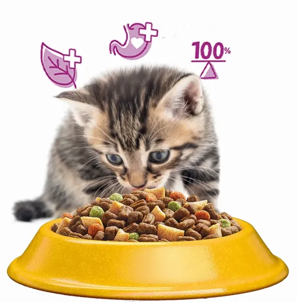 whiskas-sucha-kurczak-14kg-wiek-zwierzecia-koty-dorosle