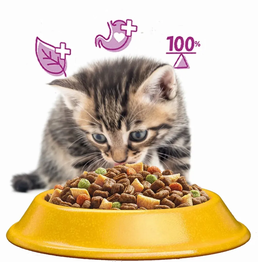 whiskas-sucha-kurczak-14kg