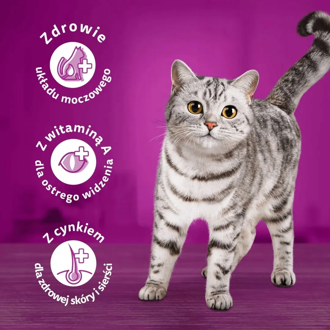 whiskas-sucha-kurczak-14kg