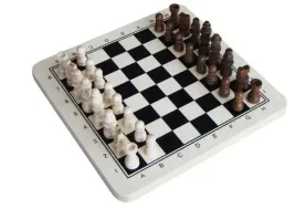 gra-w-szachy-drewno-29-cm