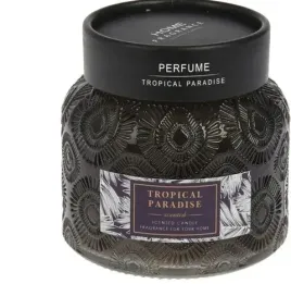 swieca-zapachowa-w-szkle-9x78cm-tropikalny-raj