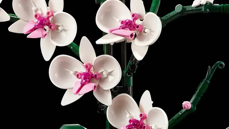 10311-lego-icons-orchidea-numer-produktu-10311