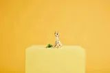 31162-lego-creator-uroczy-kroliczek-minimalny-wiek-dziecka-8