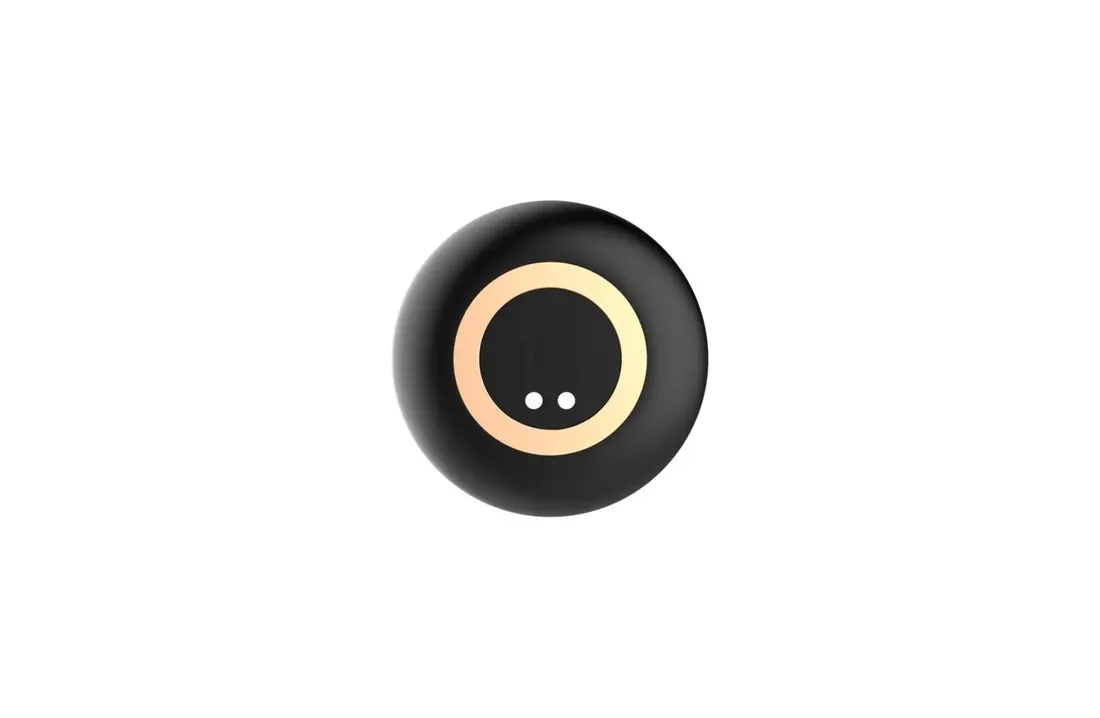 stymulator-striking-prostate-massager-usb-10-functions-remote-control-stan-nowy