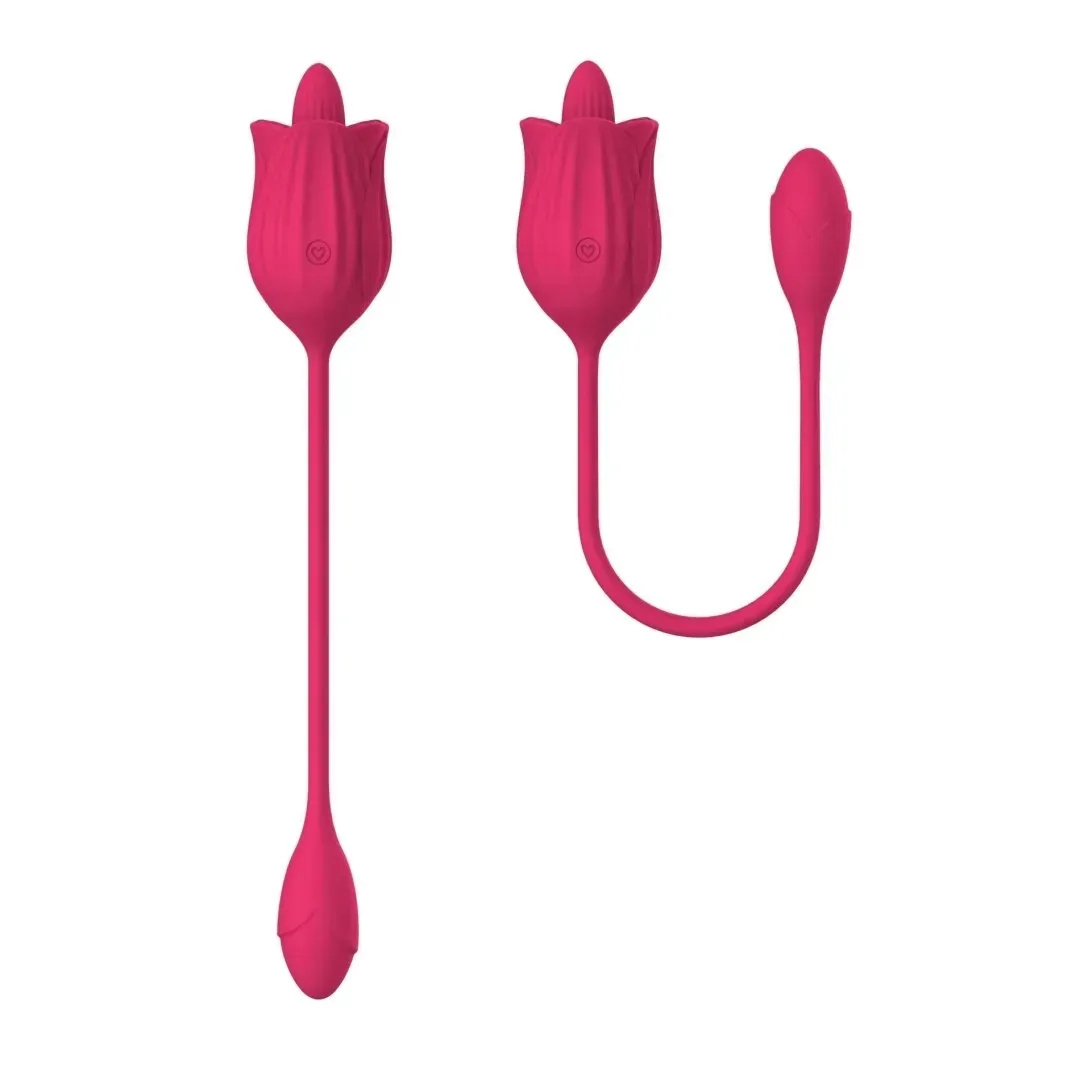 stymulator-licking-massager-with-vibrating-egg-usb-10-functions