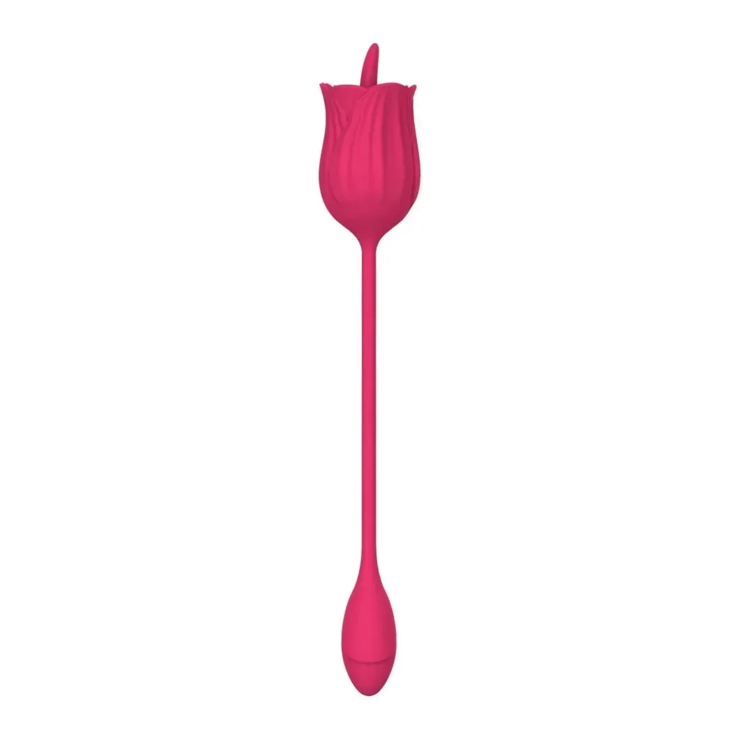 stymulator-licking-massager-with-vibrating-egg-usb-10-functions