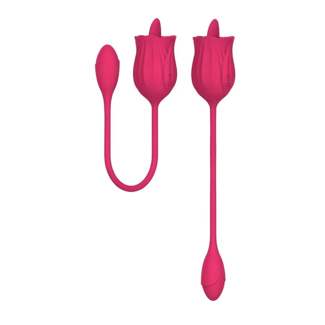 stymulator-licking-massager-with-vibrating-egg-usb-10-functions