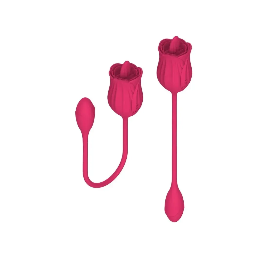 stymulator-licking-massager-with-vibrating-egg-usb-10-functions