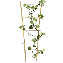drabinka-bambusowa-podwojna-60-cm-podpora-do-roslin-pergola-drabinka