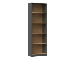 regal-r60-antracyt-dab-artisan