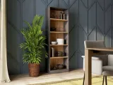 regal-r60-antracyt-dab-artisan-wysokosc-mebla-182-cm