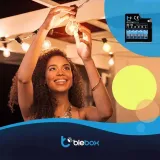 modul-oswietelniowy-dimmerbox-v2-blebox-rodzaj-sterownik