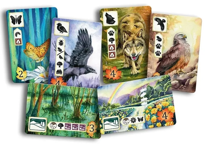 gra-laka-meadow-pl-minimalna-liczba-graczy-1
