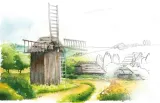 gra-laka-meadow-pl-projektant-klemens-kalicki
