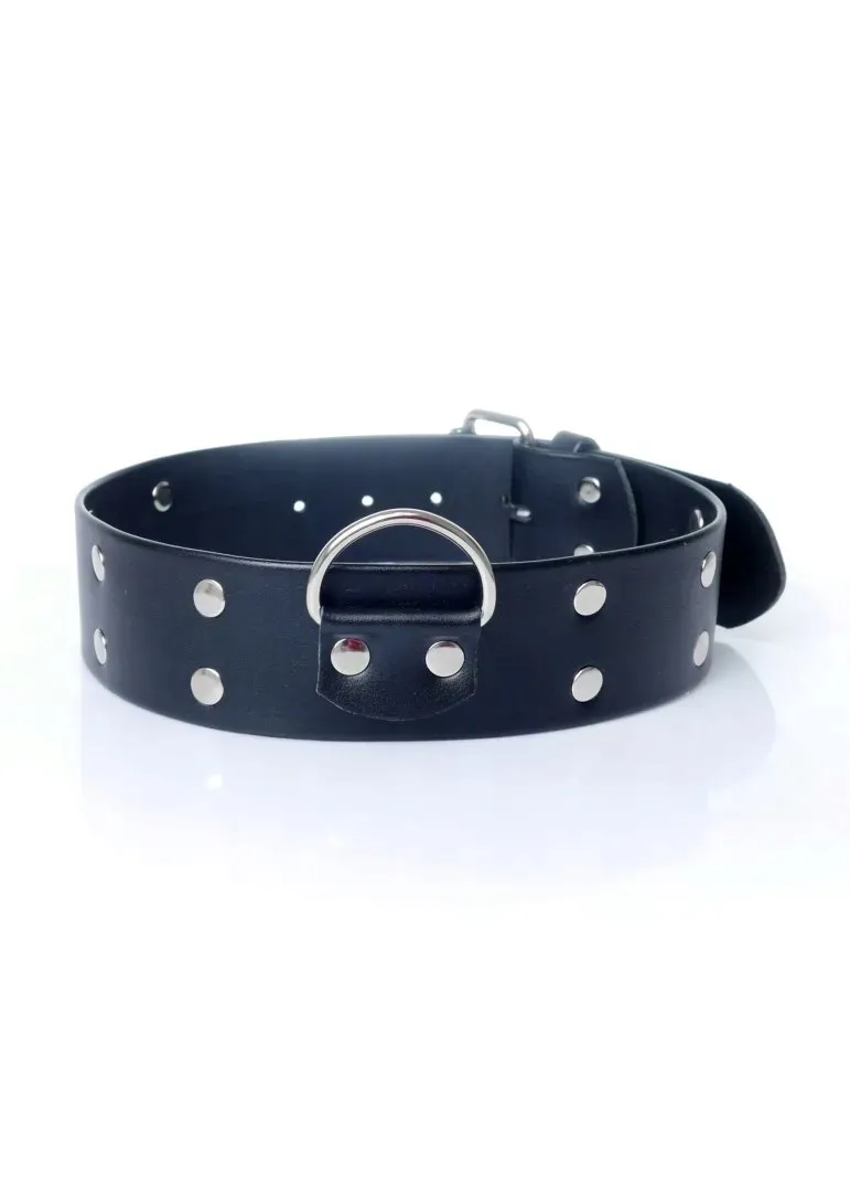 fetish-b-series-collar-with-studs-4-cm