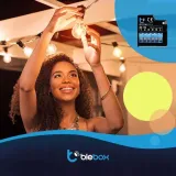 modul-oswietelniowy-dimmerbox-v2-blebox-rodzaj-sterownik