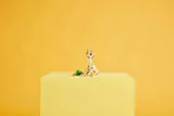 31162-lego-creator-uroczy-kroliczek-minimalny-wiek-dziecka-8