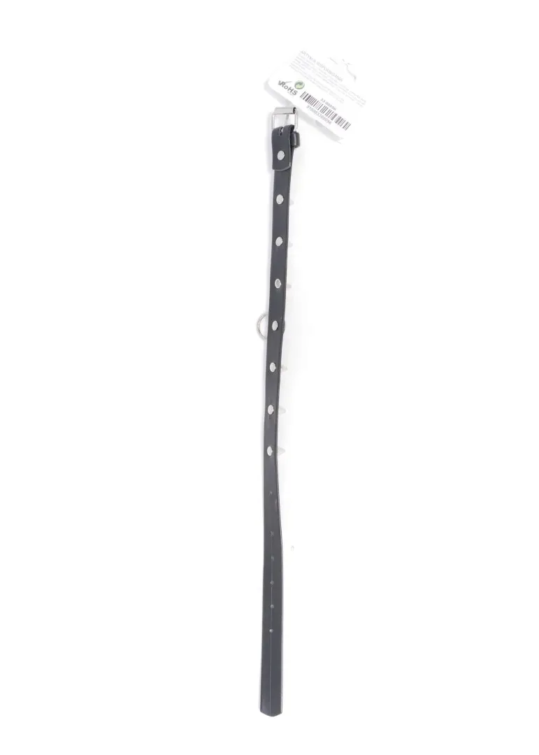 fetish-b-series-collar-with-studs-2-cm