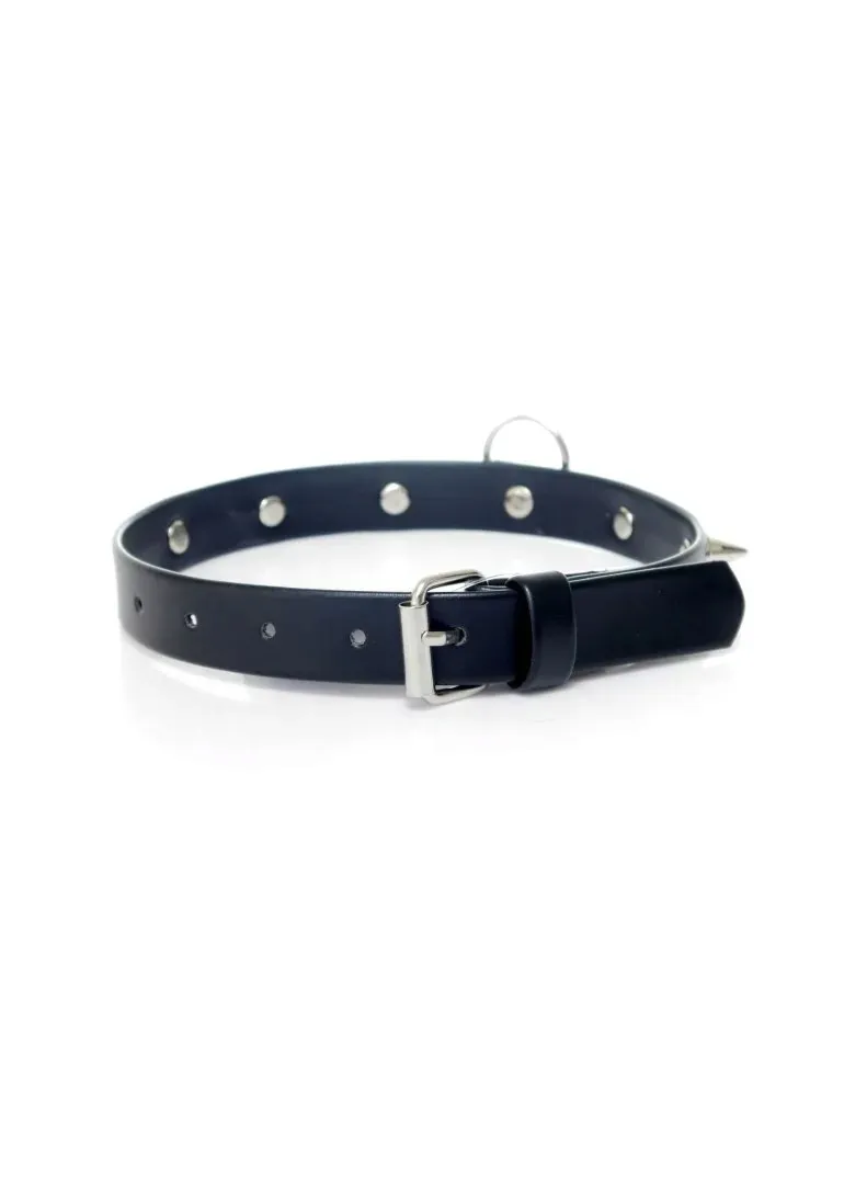 fetish-b-series-collar-with-studs-2-cm
