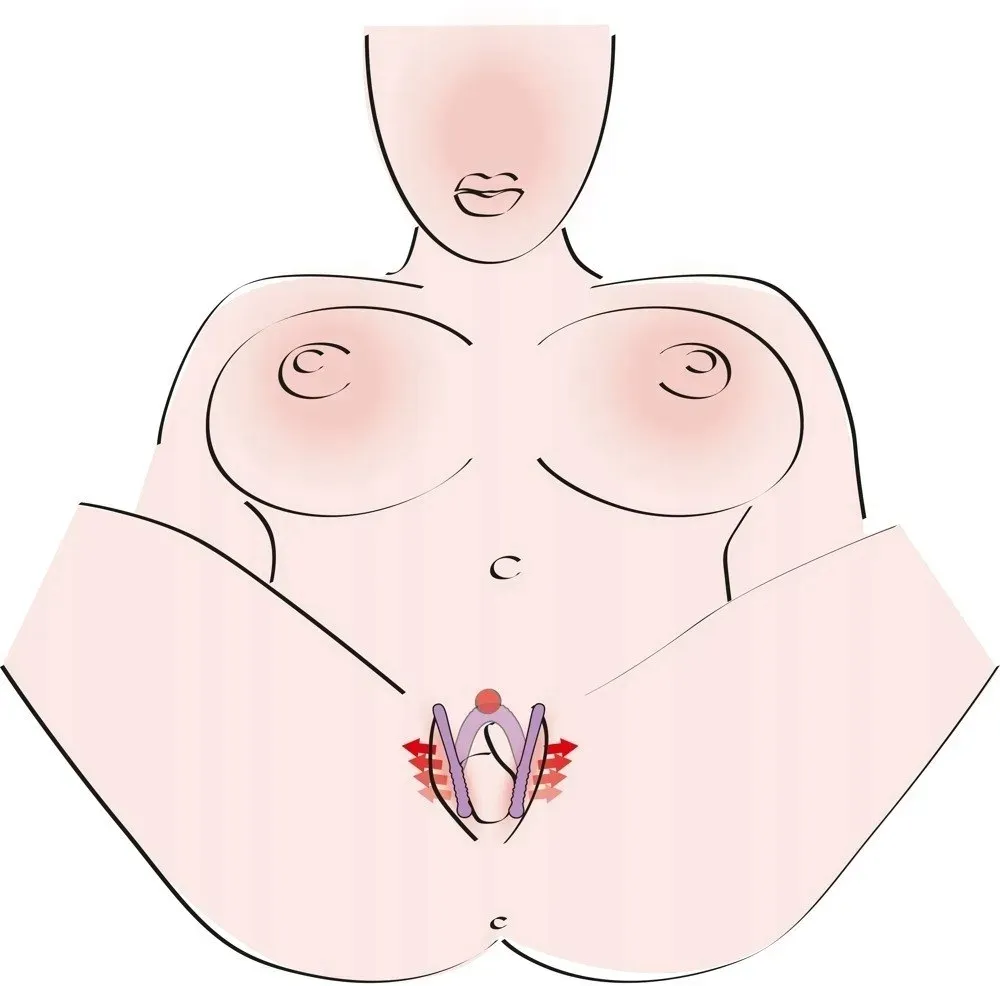 intimate-spreader-li-stan-nowy