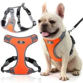 szelki-dla-psa-astro-pomaranczowe-rozmiar-s