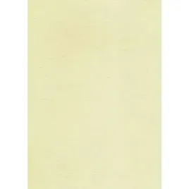 karton-wizytowkowy-185g-20-arkuszy-w87-skorka-ec