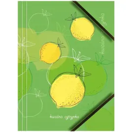 teczka-kartonowa-a4-z-gumka-na-rogach-350g-owoce
