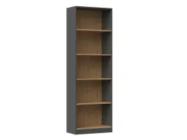 regal-r60-antracyt-dab-artisan