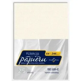 karton-wizytowkowy-a4-246g-dz110-c-25-michalczyk