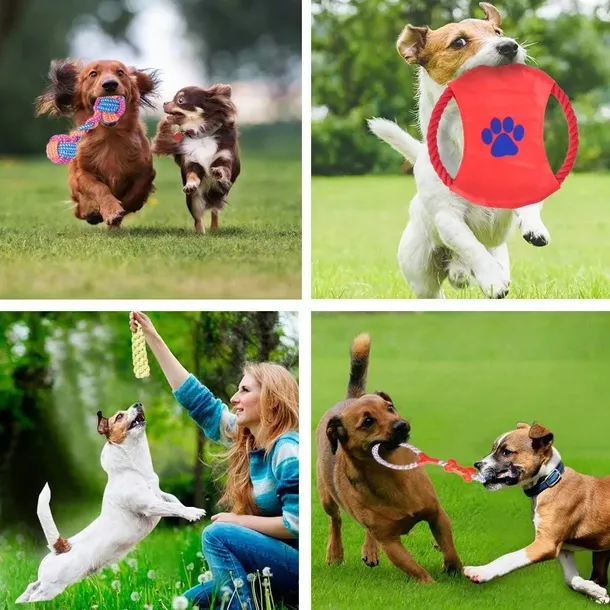 zestaw-szarpakow-dla-psa-dylan-10-elementow-marka-zwierzopasja