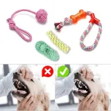 zestaw-szarpakow-dla-psa-dylan-10-elementow-nazwa-handlowa-zestaw-szarpakow-dla-psa-dylan