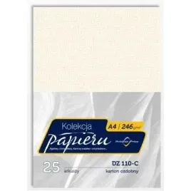 karton-wizytowkowy-a4-246g-dz110-c-25-michalczyk