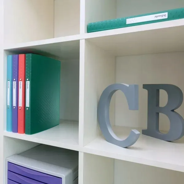 segregator-ringowy-esselte-colourbreeze-4-rr-25-m-cechy-dodatkowe-material-nieprzemakalny