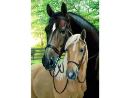 obraz-malowanie-po-numerach-rama-40x50cm-konie