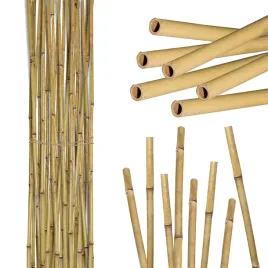 tyczka-bambusowa-210cm-zestaw-25-sztuk-20-22mm-podpora-palik-do-roslin