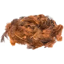 piorka-nakrapiane-3g-brazowe-pn3-1-brewis